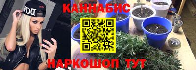 стафф Краснодар