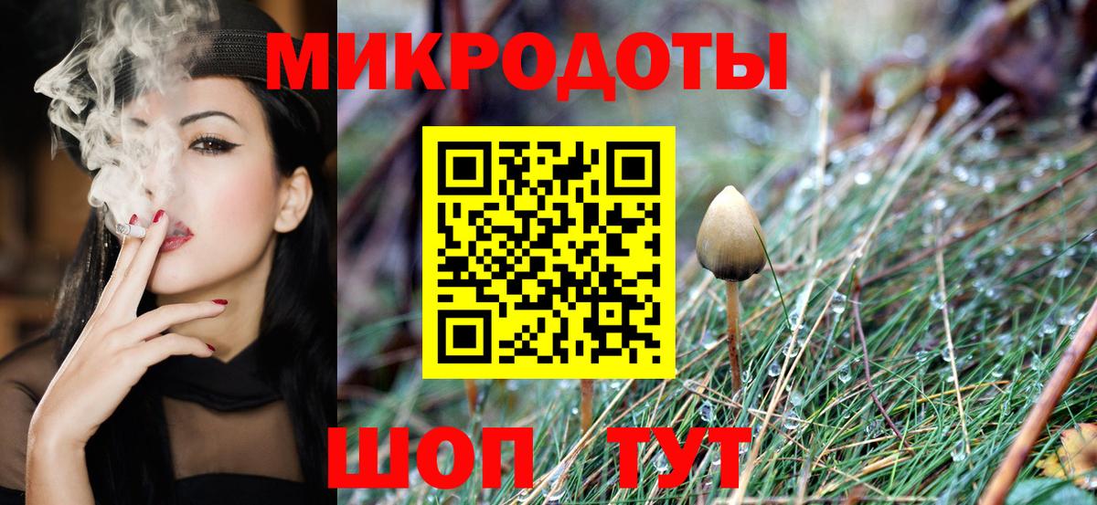 Псилоцибиновые грибы Psilocybine cubensis  Галлюциногенные грибы мицелий  Ипатово  Вход с VPN 